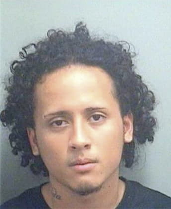 Antonio Llanes - Palm Beach County, FL 